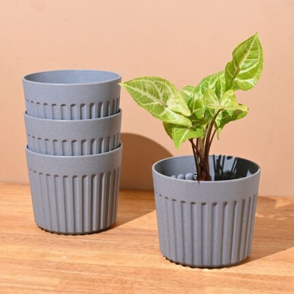 Are Plastic Planters Bad for Plants