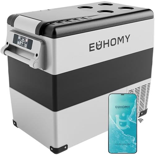 Best 12V Refrigerator