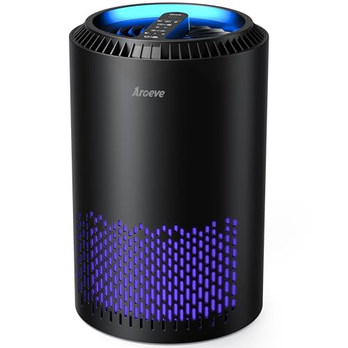 Best Air Purifier for Pot Smokers