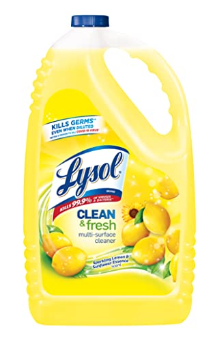 Best Antibacterial Floor Cleaner