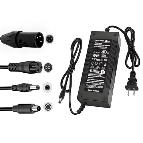 Best Bike Battery Charger