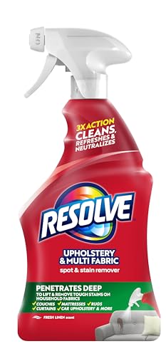 Best Car Seat Stain Remover