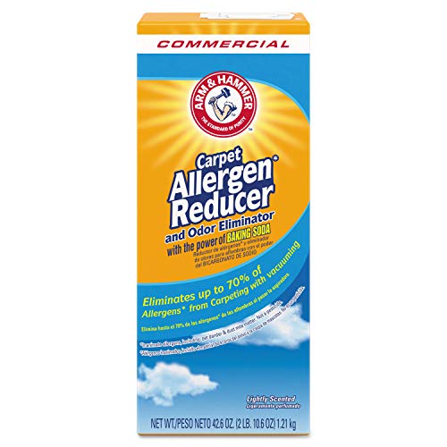 Best Carpet for Allergy Sufferers