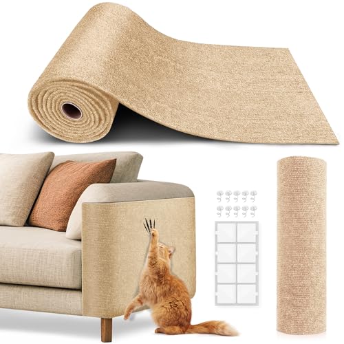 Best Carpet for Cats