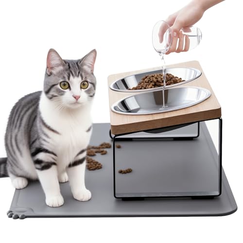 Best Cat Food Bowl