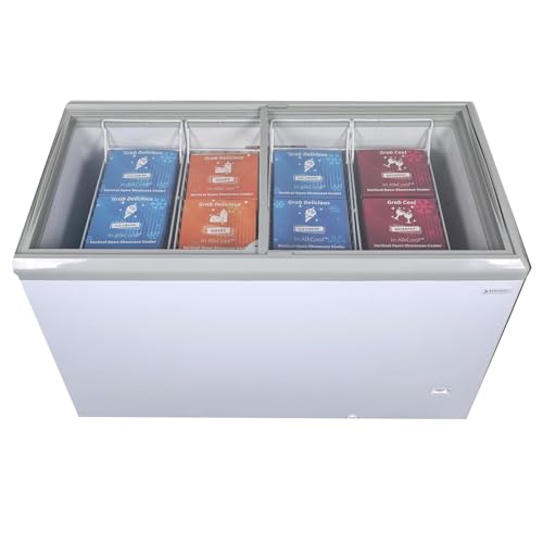 Best Commercial Chest Freezer