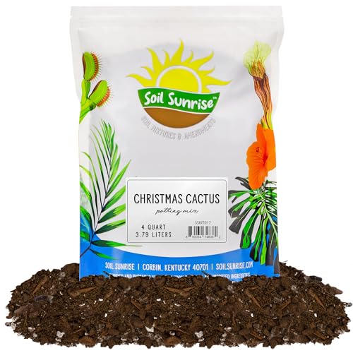 Best Commercial Potting Soil for Christmas Cactus
