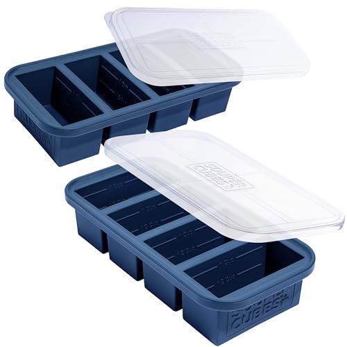 Best Containers for Freezing Blueberries