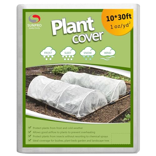 Best Cover for Plants During Freeze