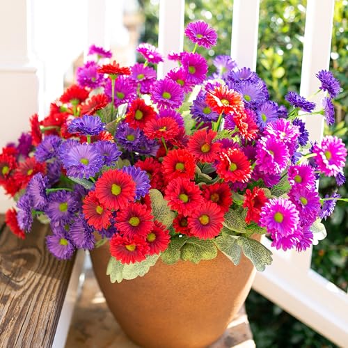 Best Dahlias for Pots