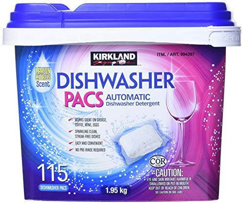 Best Dishwasher at Costco