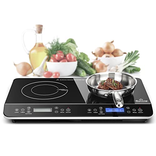 Best Double Induction Cooktop