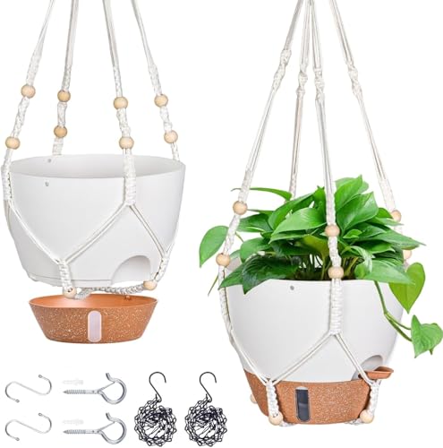 Best Flowers for Hanging Pots