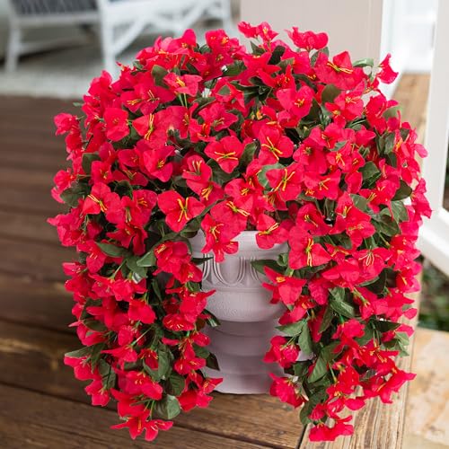 Best Flowers for Pots Outside