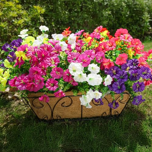 Best Flowers for Pots That Bloom All Summer