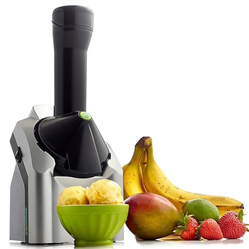 Best Fruit Ice Cream Maker