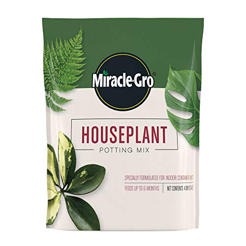 Best Indoor Potting Soil No Gnats
