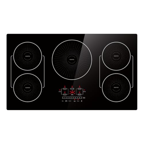 Best Induction Cooktops 36