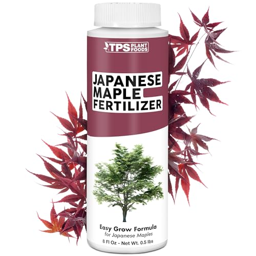 Best Japanese Maple for Pots