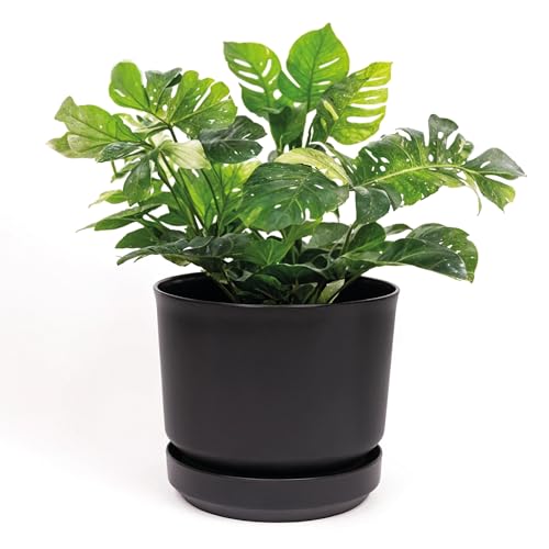 Best Large Plant Pots