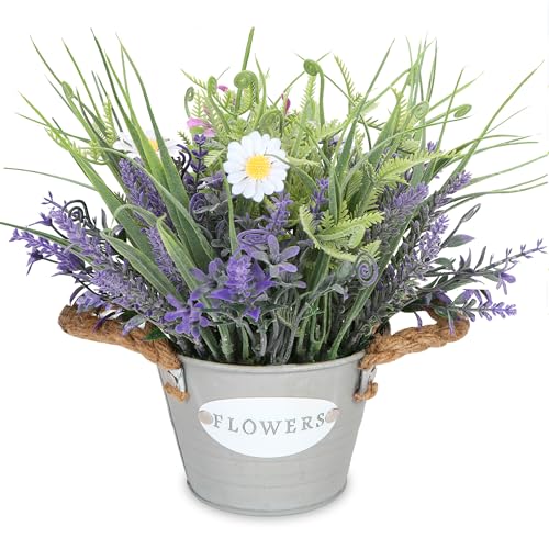 Best Lavender for Pots