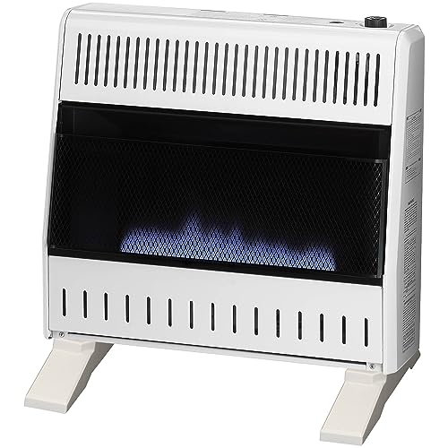 Best Natural Gas Heaters Home