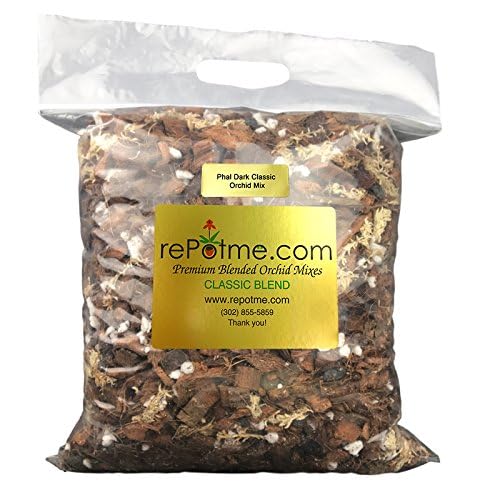 Best Orchid Potting Mix