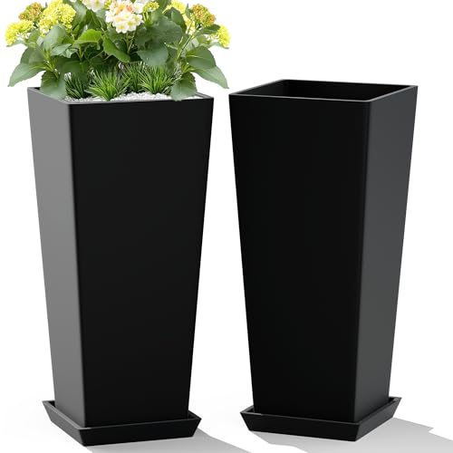Best Outdoor Pots for Plants