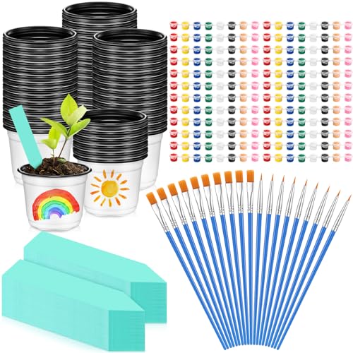 Best Paint for Plant Pots