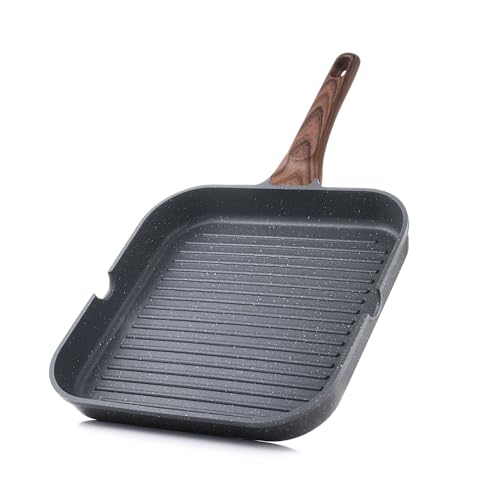 Best Pans for Cooking on Gas Stove