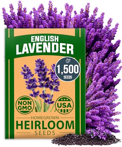 Best Perennial Potted Plants