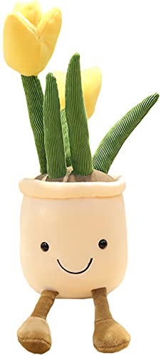 Best Pillow for Pots