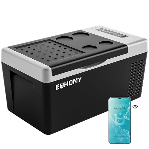Best Portable Refrigerator for Car