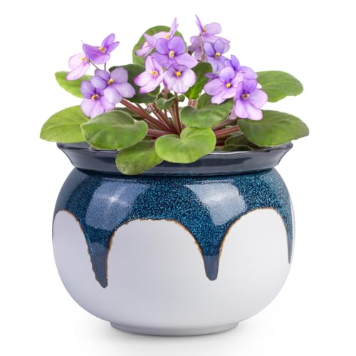 Best Pot for African Violets