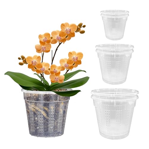 Best Pot for Orchids