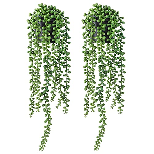 Best Pot for String of Pearls