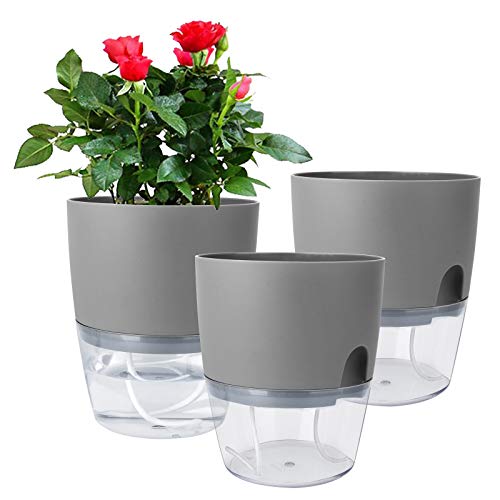 Best Pot for Venus Fly Trap