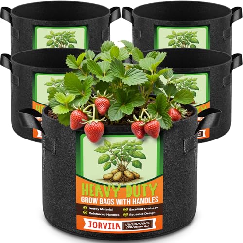 Best Pot Size for Tomatoes
