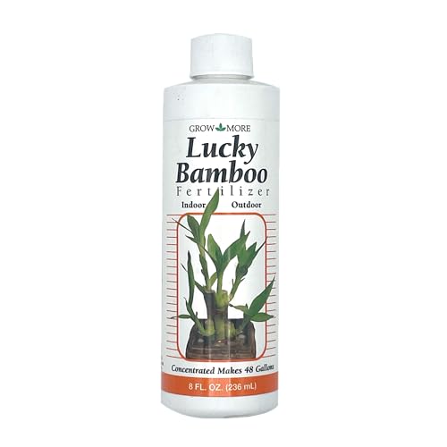 Best Pots for Bamboo Plants