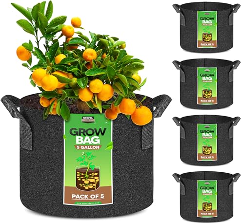 Best Pots for Growing Weed