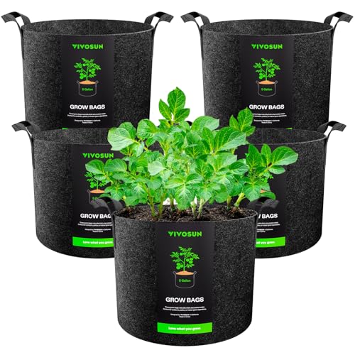 Best Pots for Pepper Plants