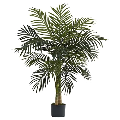 Best Potted Trees for Patio