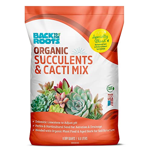 Best Potting Mix for Cactus