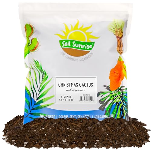 Best Potting Mix for Christmas Cactus