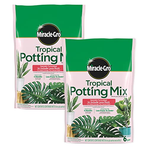 Best Potting Mix for Hibiscus