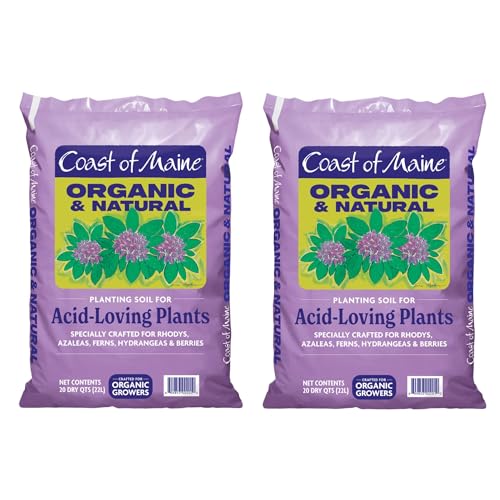 Best Potting Mix for Hydrangeas