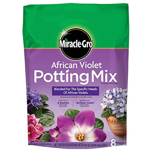 Best Potting Soil for African Violets