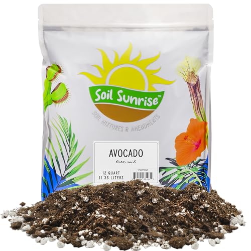 Best Potting Soil for Avocado Tree