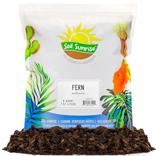 Best Potting Soil for Ferns