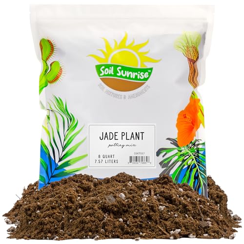 Best Potting Soil for Jade Plants